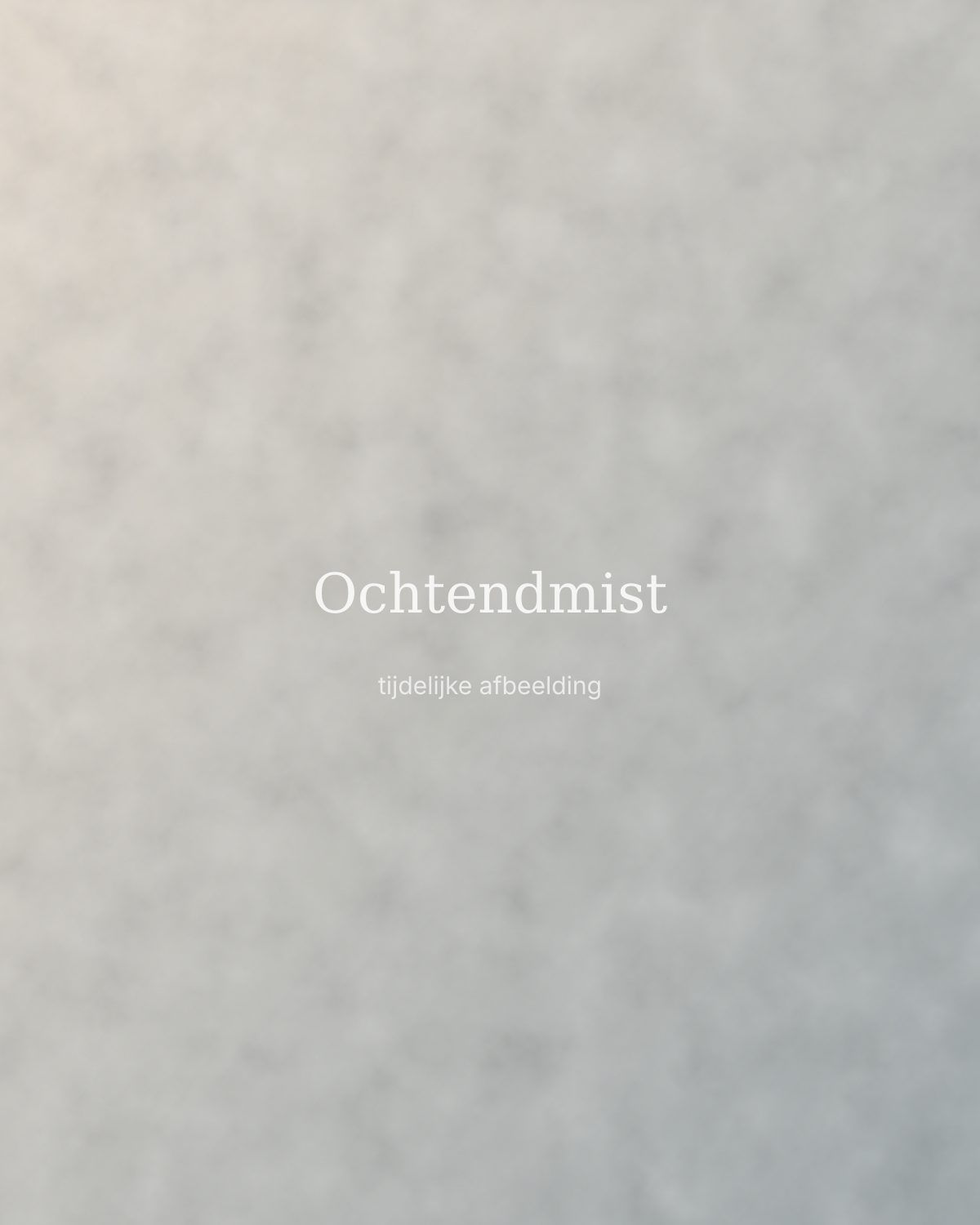 Ochtendmist